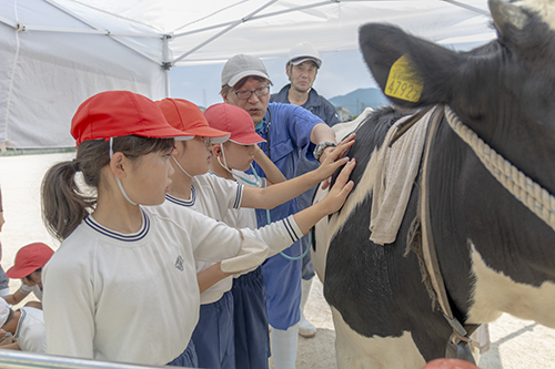 「やまぐち畜産ふれあい体験学習」in 岩国市立玖珂小学校